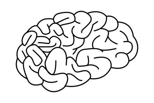 human brain icon black and white