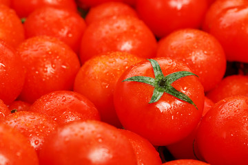 Lots of fresh ripe tomatoes with drops of dew. Close-up background with texture of red hearts with green tails. Fresh cherry tomatoes with green leaves. Background red tomatoes