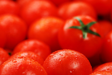 Lots of fresh ripe tomatoes with drops of dew. Close-up background with texture of red hearts with green tails. Fresh cherry tomatoes with green leaves. Background red tomatoes