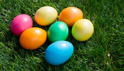 Fototapeta na wymiar Painted Easter eggs on green grass