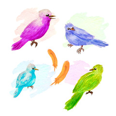 Watercolor bird set