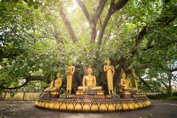 The statue of the Buddha image around the Sri Maha Bodhi in Laos, Vientiane. 