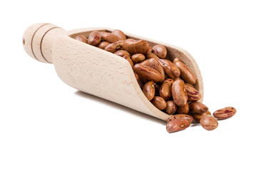  Pinto bean in wooden scoop isolated on white background. nutrition. bio. natural food ingredient.