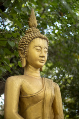The statue of the Buddha image around the Sri Maha Bodhi in Laos, Vientiane. 