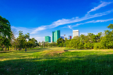 Central public city park green meadow with tree and building