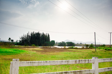 landscape with green field and blue sky