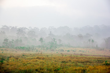 fog in the mountains