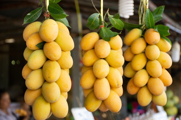 Marian plum or gandaria or plum mango on stall for sell at local shop in Thailand