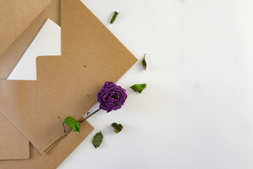 Craft brown envelope with dry flowers on white background.