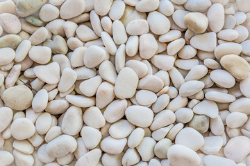 White pebbles stone texture and background 