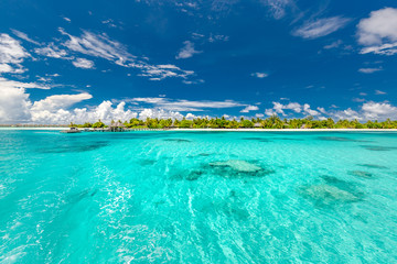 Beautiful tropical beach and sea with coconut palm tree on blue sky in Maldives island - Boost up color Processing