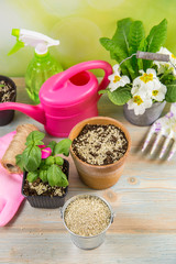 Mixing vermiculite granules pellets with black gardening soil improves water retention, airflow, root growth capacity of all the plants growing in pots. Different gardening tools on the background.