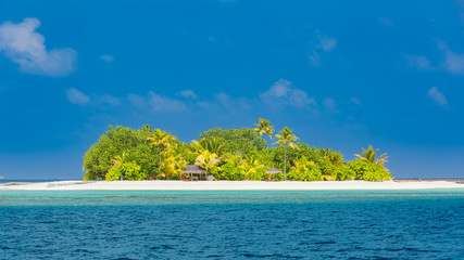 Beautiful tropical beach in Maldives with few palm trees and blue lagoon - Image