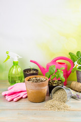 Mixing vermiculite granules pellets with black gardening soil improves water retention, airflow, root growth capacity of all the plants growing in pots. Different gardening tools on the background.