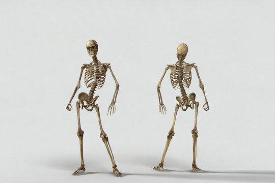 Human skeleton dirt on a background of white paper