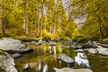 Autumn forest river water landscape. Beautiful scenery with soft sunlight, rocks and long exposure river. Autumn forest 