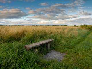 Old grungy bench in a field, Tall grass, blue cloudy sky, simple and peaceful atmosphere.