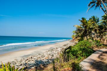 Beach with palm trees in Varkala in India