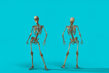 Human skeleton dirt on a background Deep Sky Blue color