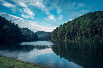 Fototapeta na wymiar Beatiful lake and pine forest