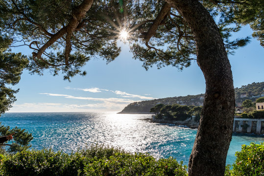 Seacoast of Cap Ferrat in a sunny winter day