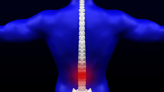 Lower back pain. 3D rendering.