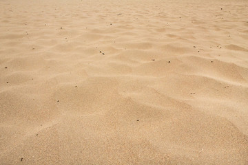 Fototapeta na wymiar Patterns in the Sand on a Beach