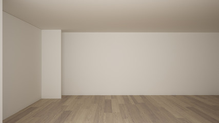 Empty room interior design, open space with white walls, modern style, parquet wooden floor, minimalist contemporary architecture, concept, mock-up, architecture idea