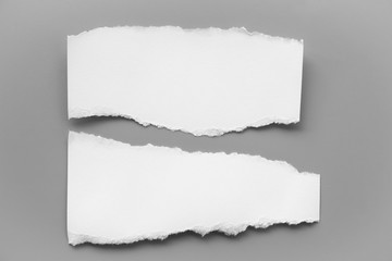 white torn paper on gray background. collection paper rip