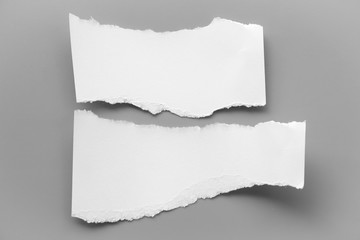 white torn paper on gray background. collection paper rip