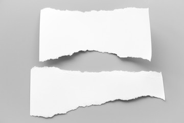 white torn paper on gray background. collection paper rip