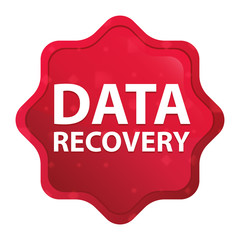 Data Recovery misty rose red starburst sticker button