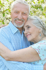 couple hugging in blooming garden