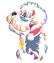 Obraz premium Colorful decorative portrait of Dandie Dinmont Terrier Dog vector illustration