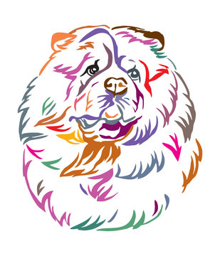 Colorful decorative portrait of Chow Chow Dog vector illustration