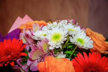 Bouquet of chrysanthemums and gerberas. Bouquet for the holiday. Ready bouquet of flowers.