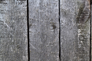 Grunge shabby wood background background hardwood color