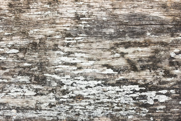 close up textured old wood background