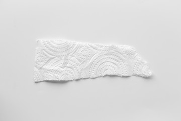 white torn tissues on gray background. collection paper rip