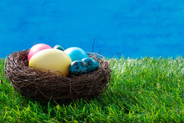 Chicken and quail painted Easter eggs in a nest on green grass against blue sky