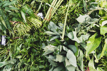 Fresh spinach leafs close up rotating