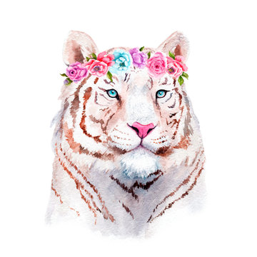 Watercolor Painting Of A White Tiger In Flowers