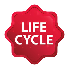 Life Cycle misty rose red starburst sticker button