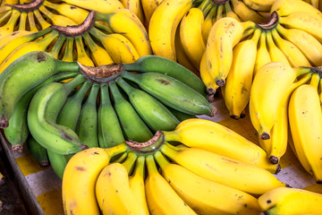group of raw bananas on kiosk in street market, Brazil