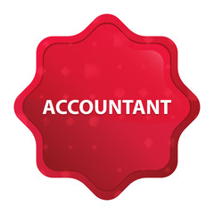 Accountant misty rose red starburst sticker button