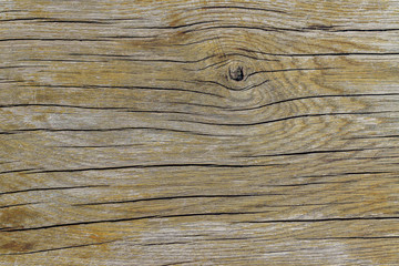 Background texture of old natural wood