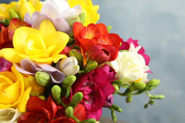 Beautiful bright spring freesia flowers on color background, closeup