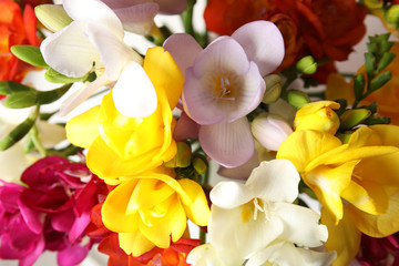 Fototapeta na wymiar Bouquet of beautiful spring freesia flowers, closeup