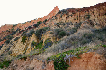 View of the rugged mountain landscape with colorful plants