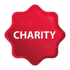 Charity misty rose red starburst sticker button